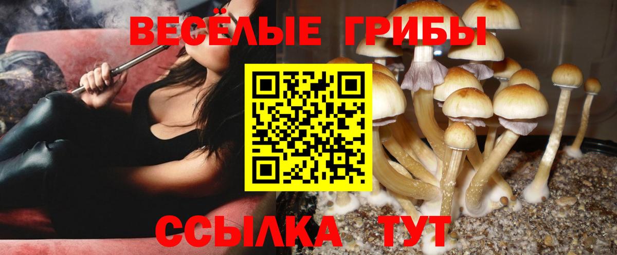 Псилоцибиновые грибы MAGIC MUSHROOMS Кизилюрт