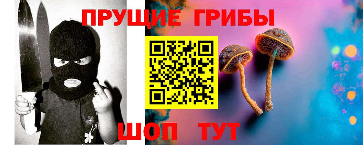 Кизилюрт  Псилоцибиновые грибы ЛСД  Псилоцибиновые грибы мицелий  Вход с VPN 